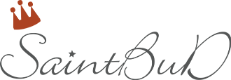 SaintBuD